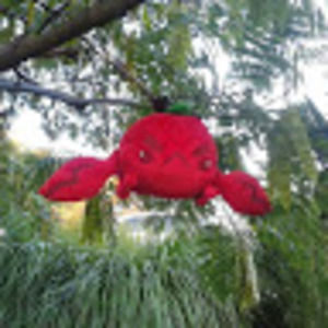 Meet your Posher, Crab